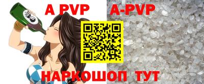 эйфоретик Кингисепп