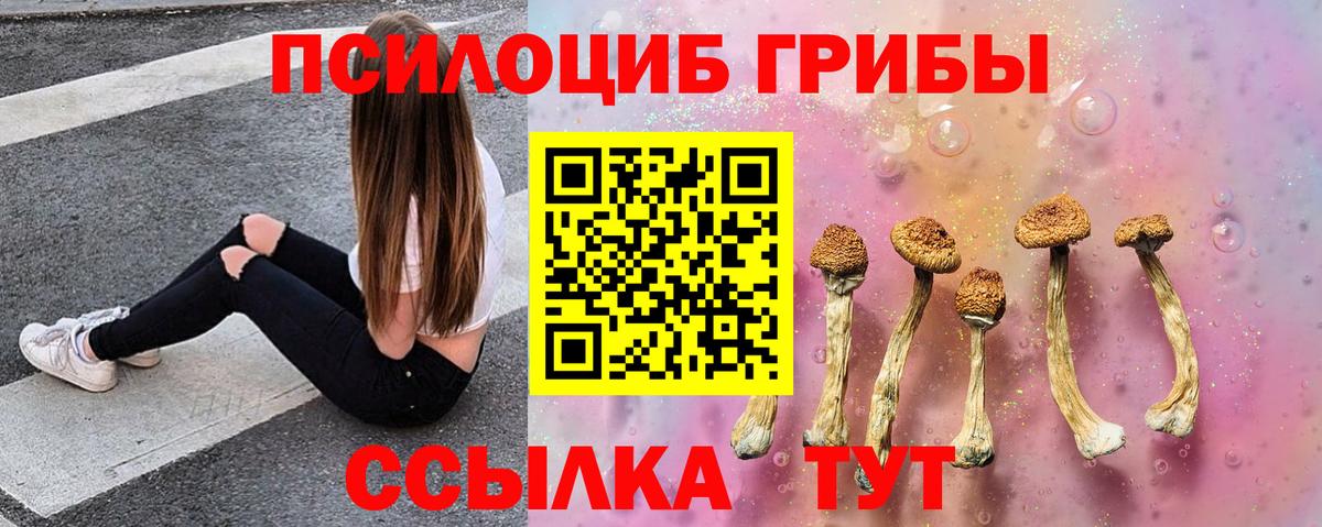 Галлюциногенные грибы прущие грибы  Вход с VPN  где найти наркотики  Псилоцибиновые грибы Psilocybe  Кисловодск 